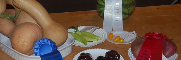 Award Winning Produces