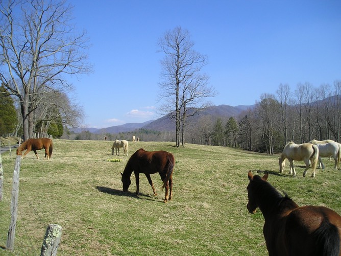 Cades Cove